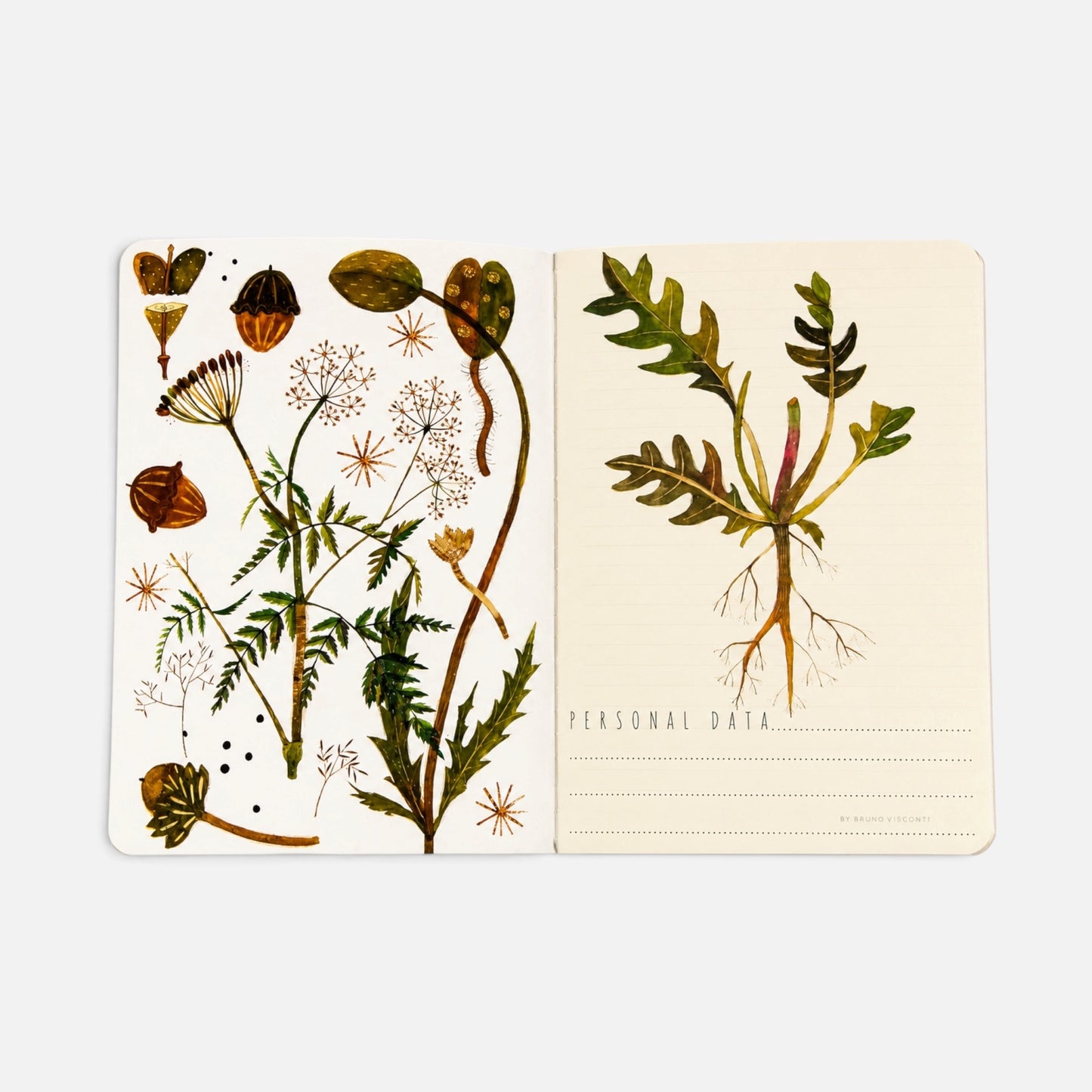 Botanical A5 Notebook – Wildflowers