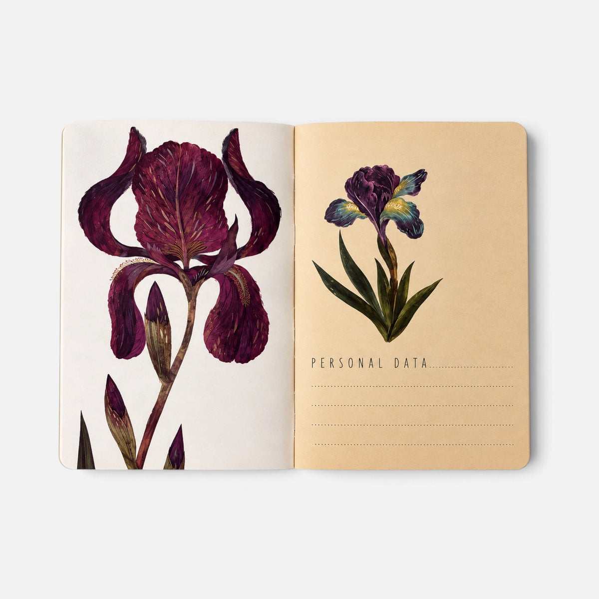 Botanical A6 Notebook – Iris